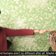 May the owl-human peace treaty last forever